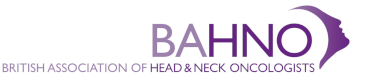 bahno logo intital colour footer